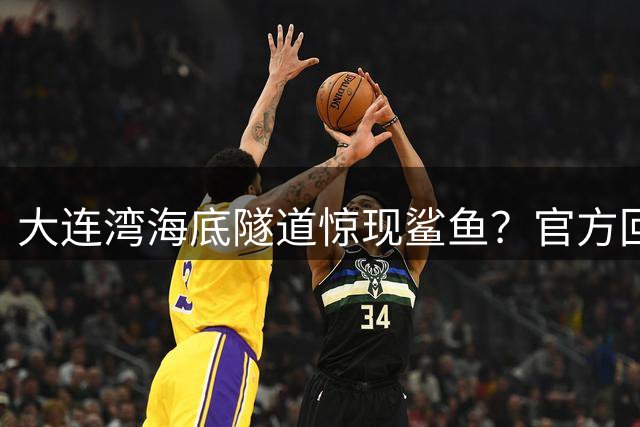 大连湾海底隧道惊现鲨鱼？官方回应：纯属虚构