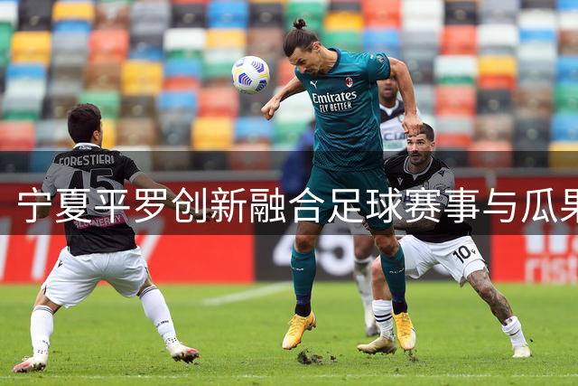 宁夏平罗创新融合足球赛事与瓜果文化 打造夏日文旅消费新场景