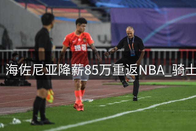 海佐尼亚降薪85万重返NBA 骑士1年合约仅皇马年薪54%